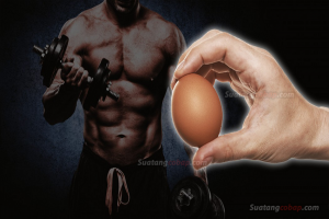 Giá trị dinh dưỡng của trứng cho người tập thể hình