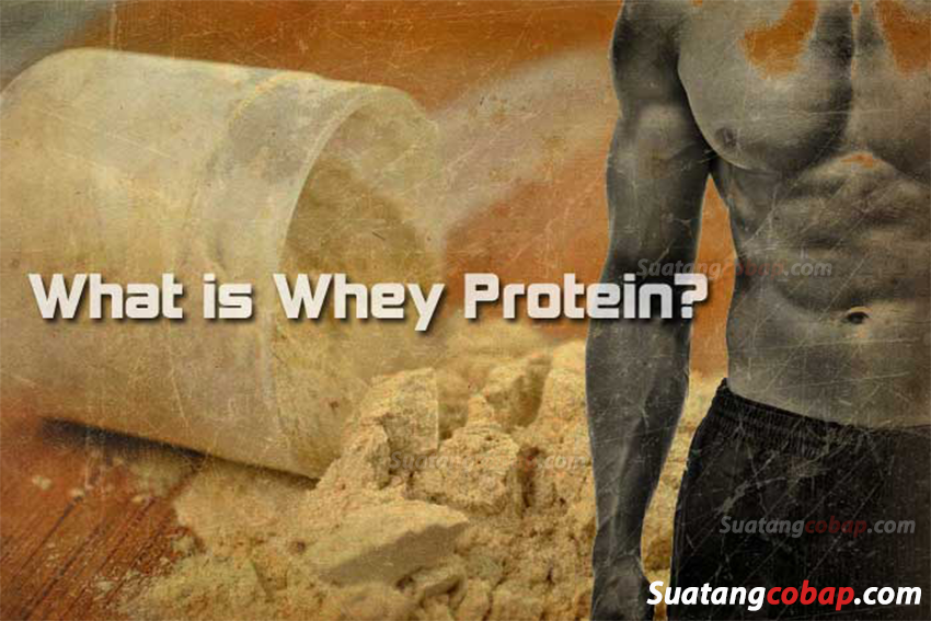 Những điều cần nắm rõ trước khi dùng whey protein